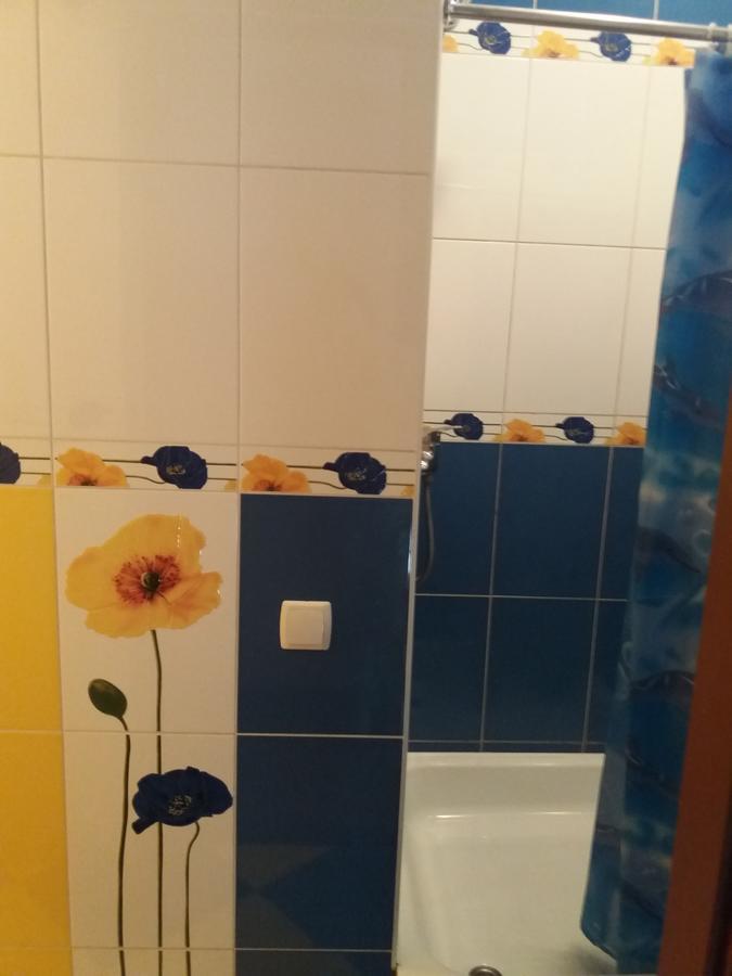 Уютные Апартаменты В Самом Сердце Старого Города Kamianets-Podilskyi Ngoại thất bức ảnh